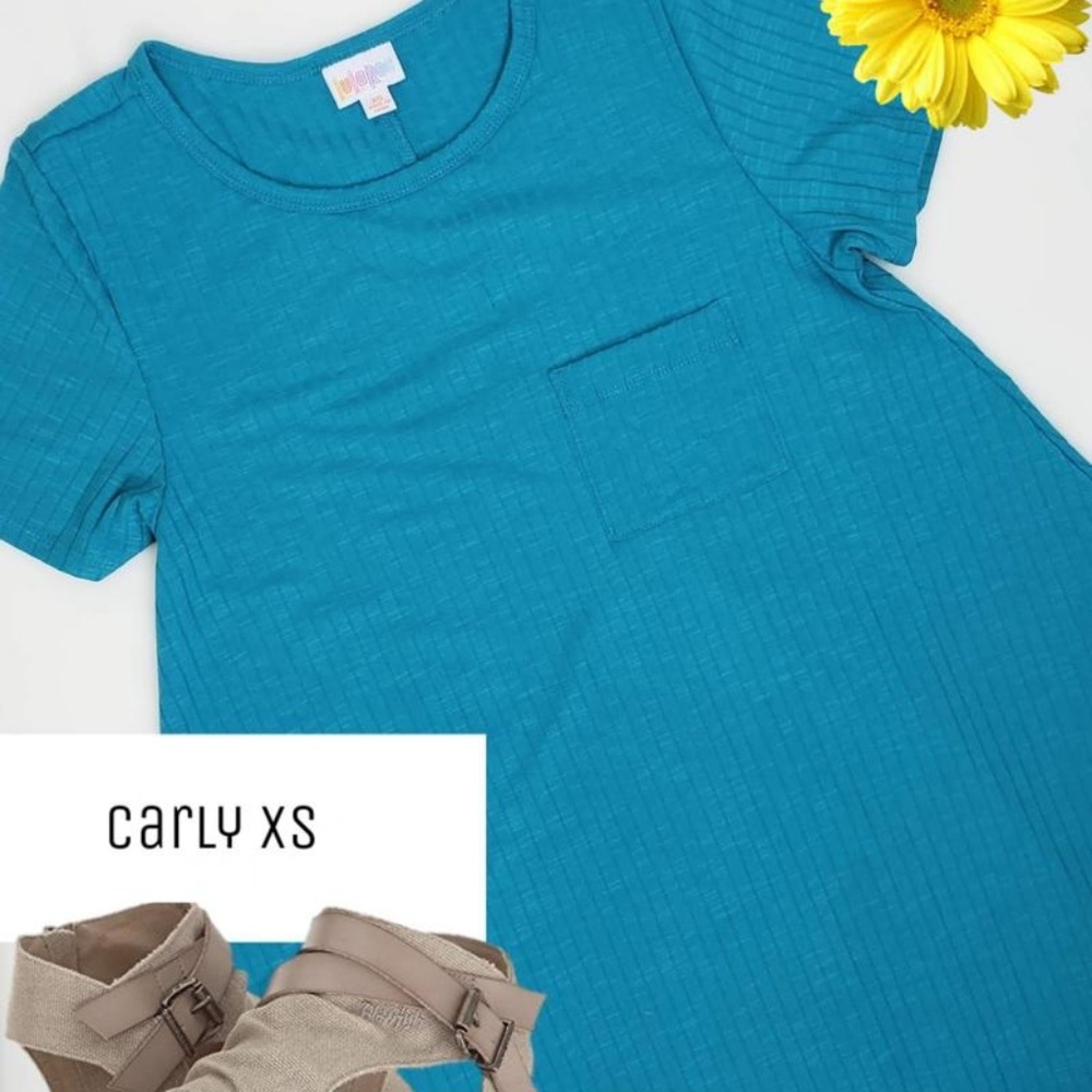 NWT LuLaRoe Carly XS